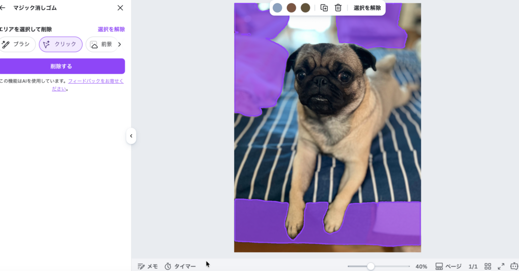 Canva Magic Eraser使用前：愛犬の周りにクッション・ケージ・ベッドが写っている写真