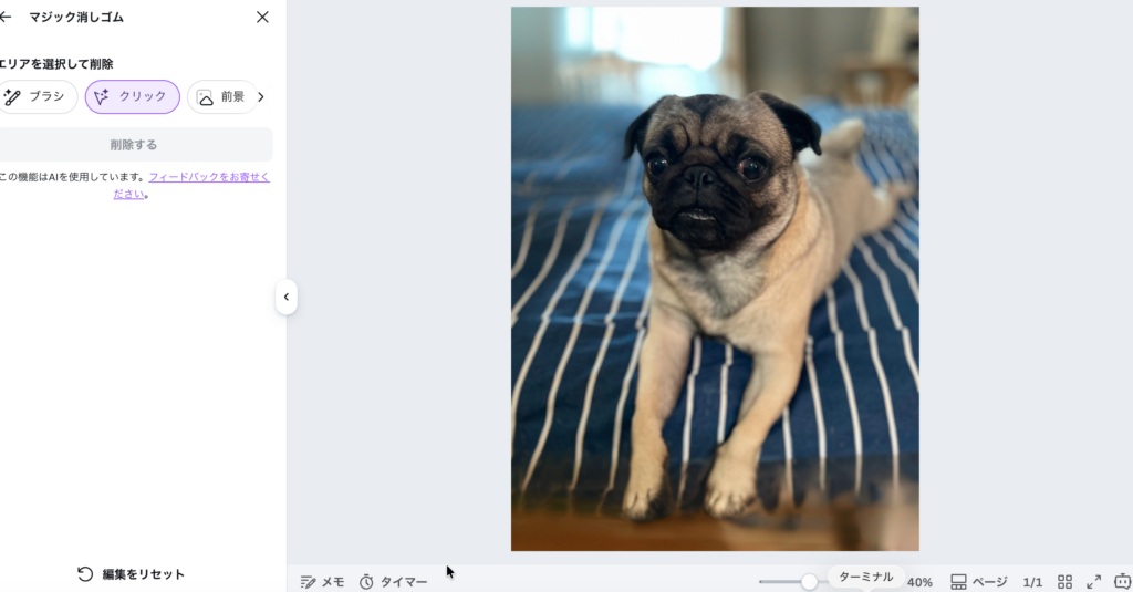 Canva Magic Eraser使用後：不要物が消えてスッキリした愛犬の写真