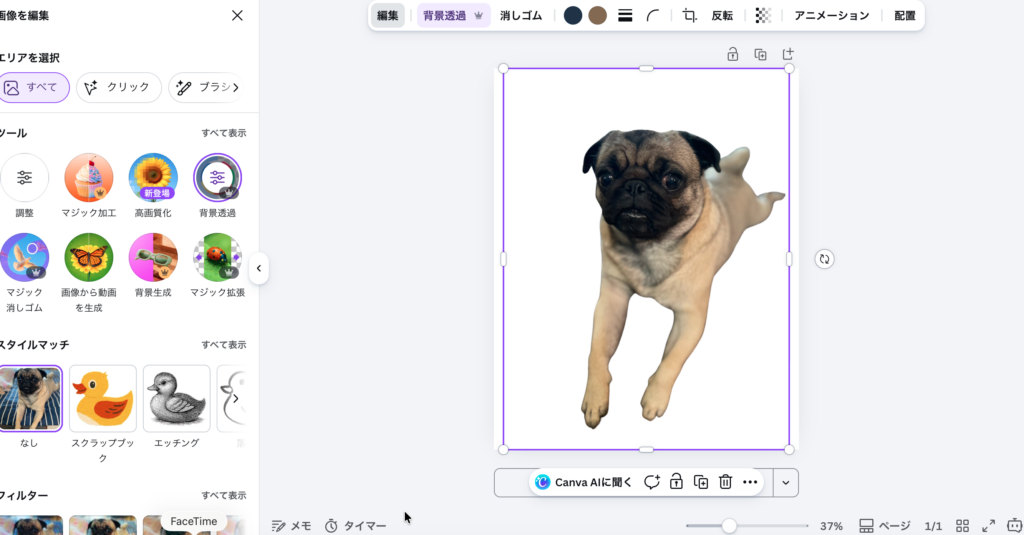 Canva背景リムーバの使用後（背景が透過された愛犬の写真）